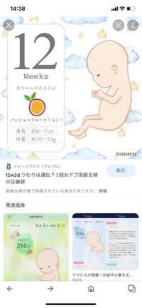 至急お願いします Ninaruのアプリで赤ちゃんの大きさ Yahoo 知恵袋