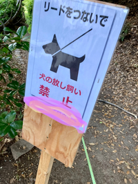 いつも散歩で通る細い道に犬の放し飼い禁止の看板が自治会の方がたてたのか Yahoo 知恵袋