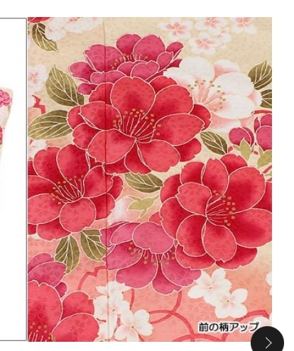 結婚式にきていくレンタル着物の色、柄を考えております。 (姉の結婚式) こちらのイラストは 全ての花が桜だと思いますか？ 桜柄単体は控えるべき柄に値するそうなので 気にしております。