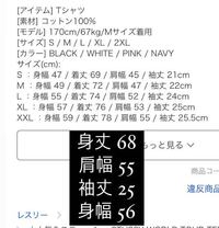 STUSSYのTシャツのサイズ感教えてください！ - 女で162センチ 