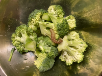 ブロッコリーを茹でたら こんな虫がいました この虫は何でしょうか 一つ Yahoo 知恵袋