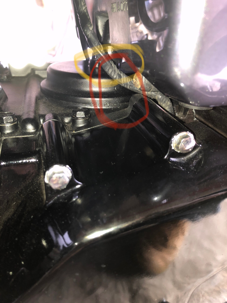 ゼファー400 車体  オイル漏れ無し ゼファー400オイル漏れ又はオイル滲みについて質問です。エンジンから