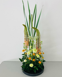 オアシス 緑のスポンジ に刺さってる花が枯れて来ました 抜いて 1 Yahoo 知恵袋