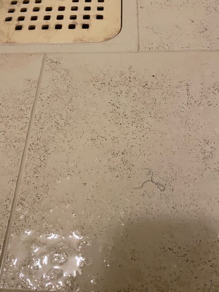 このタイプの床をキレイにするいい方法はありますでしょうか？ 細かい溝の汚れが取れずに困っています。 風呂場の床です。