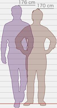 ロシア人の平均身長は男性が175cm 女性が162cmだと聞いたので 思い Yahoo 知恵袋