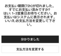 Sheinで支払期限を過ぎてしまったら お支払い方法を変更とあるのでク Yahoo 知恵袋