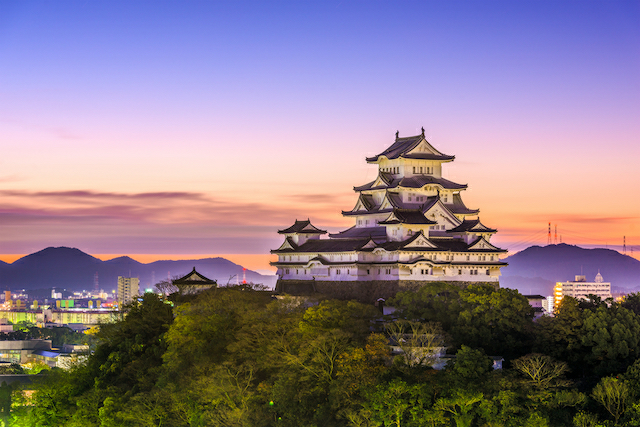 日本の城で画像検索をかけてて見たお城なのですが、この画像のお城が何城なのか分かりますか？