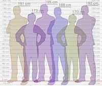 身長173cmは群衆歩いててチビで劣等感感じますか？ - 180近い人