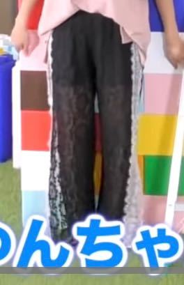ヴァンゆんの動画で巨大レゴブロックの回でゆんちゃんが履いてたレースのパンツどこのブランドかわかる方いますでしょうか？？