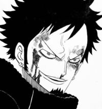 ワンピースでローとホーキンスだったらホーキンスの方が強いんですか Yahoo 知恵袋