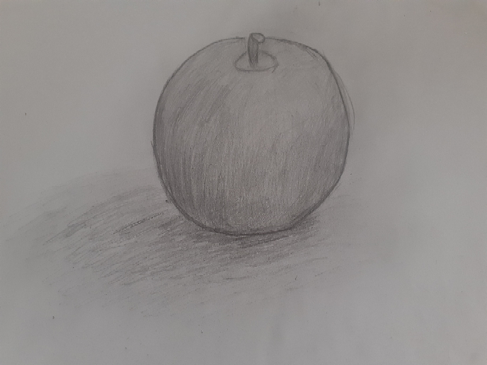 高３です りんごの絵を描いてみました この絵どう思いますか 下手なら理 Yahoo 知恵袋