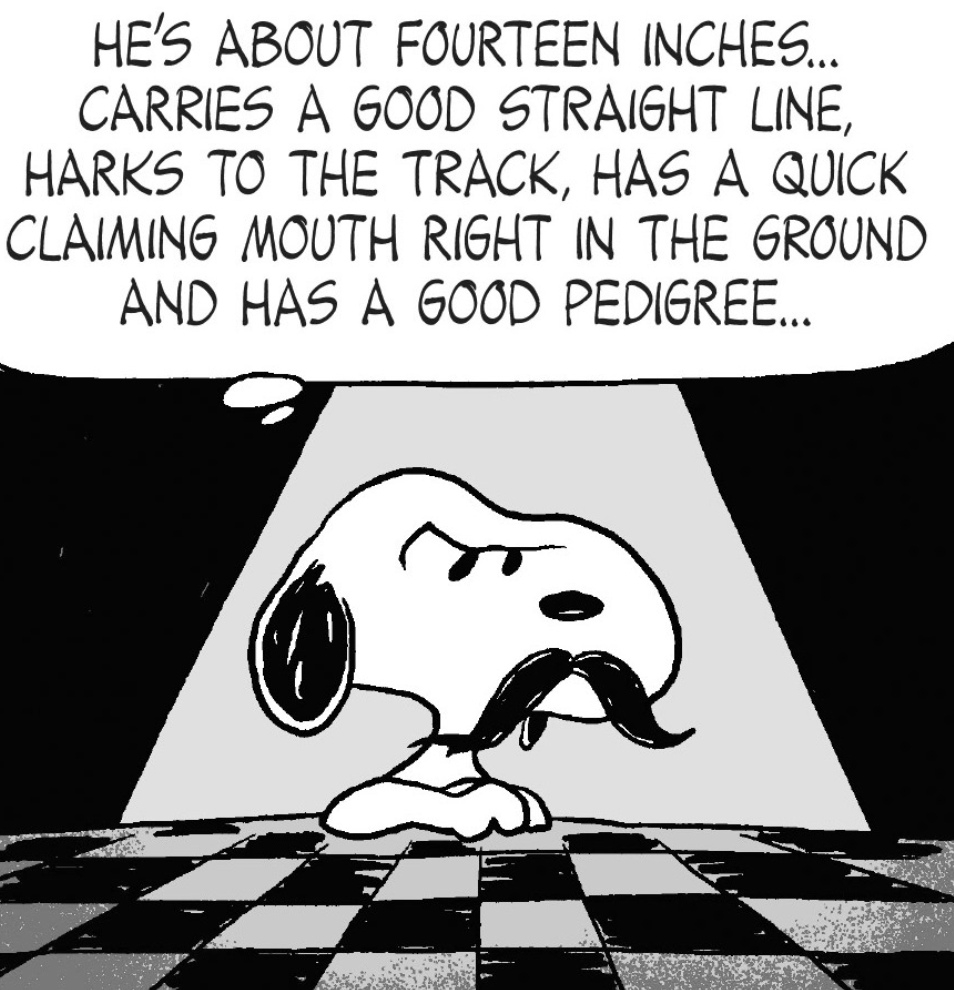 スヌーピーのセリフの下記の部分がよくわかりません 他の犬につ Yahoo 知恵袋