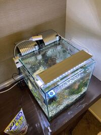 初めてのメダカ飼育する者です 質問なのですが 水槽にろ過装置が2 Yahoo 知恵袋