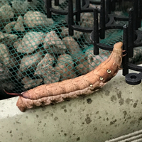 スズメガの駆除方法を教えてください スズメガの駆除方法を教 Yahoo 知恵袋