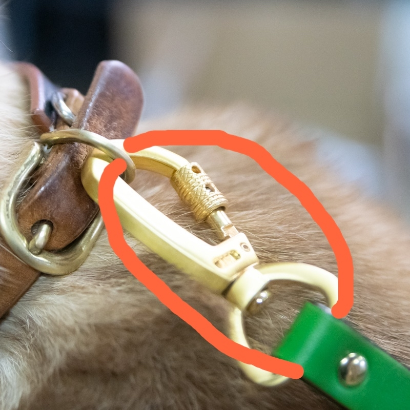 犬の首輪と繋いでいるリードの金具（ナスカン）部分がいつか外れるんじゃないかと不安なので画像のように何かで二重で繋いでおきたいのですが、紐なのかベルトのようなものなのか何を買ったら良いのかわかりま...