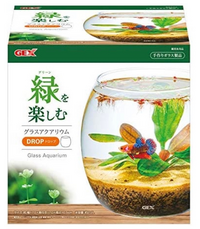 メダカの飼育したいのですが酸素は必要ですか Yahoo 知恵袋