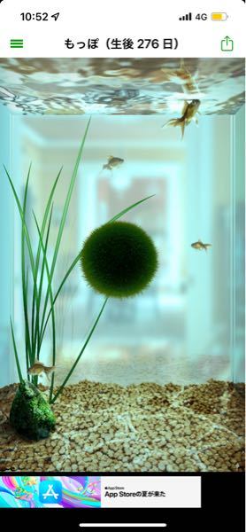 室内コンセントの防水対策ですが 我が家のコンセントは直置きの60cm Yahoo 知恵袋