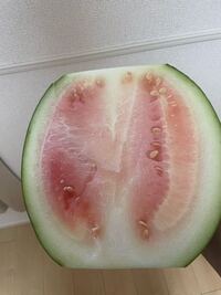 だいぶ前 多分3週間以上前に 食べたスイカの種をまいたら 今頃芽が出てきま Yahoo 知恵袋