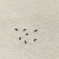 なった今 台所で蟻 が10匹以上発見しました パンなど食 Yahoo 知恵袋