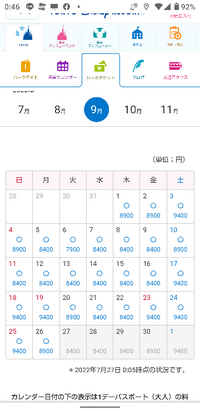 純粋な疑問なんですが 22年9月6日のディズニーランドチ Yahoo 知恵袋