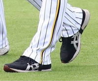 ポケモンxyでファイヤーを海神の穴で取り逃がしてしまいました 捕まえる方法 Yahoo 知恵袋