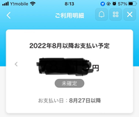 paypay後払いの支払い予定の中にはリボ払いの額は含まれて... - Yahoo
