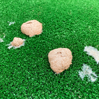 人工芝に突然出てきたこれはなんでしょうか虫の卵か何かでしょうか Yahoo 知恵袋