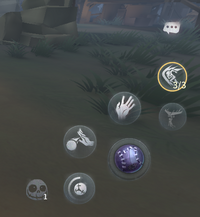 Arkのブリーディングした赤ちゃんをクライオポットにしまっておくと Yahoo 知恵袋