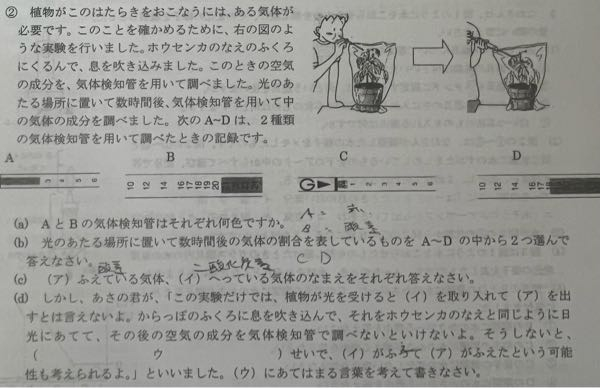 ウについて解説お願い致します Yahoo 知恵袋