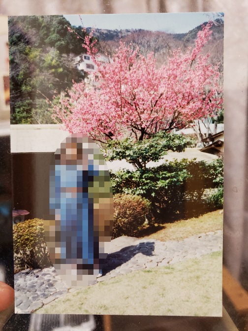 私の祖母が1994年に撮影した写真なのですが、ここが何処なのか分かる方いらっしゃいませんでしょうか…。 祖母に尋ねると「千葉から岡山に行く途中か、帰る途中だったような…」という記憶しかないよう... 