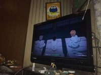 全ポケモンと鬼滅の刃の登場人物が連戦したらどっちが勝ちますか 全ポケモ Yahoo 知恵袋