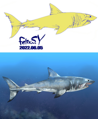 おはようごじゃいマッシュマロ アクアリウムカテのみなシャン ボクは小 Yahoo 知恵袋