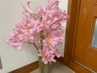この花の名前は何ですか？ 庭に自然に生えていました。 この花はお仏壇に飾ってもよいですか？