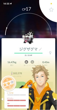 ポケモンgoで この写真の個体値のジグザグマって強い部分って Yahoo 知恵袋