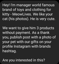 インスタで英語でdm来たんですけど 写真をgoogle翻訳にかけたら後 Yahoo 知恵袋