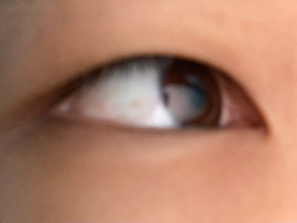 急いでます セザンヌのストレッチコンシーラーの使いこなし方が Yahoo 知恵袋