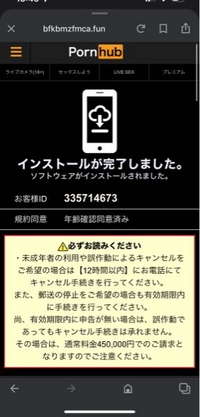 pornhubを初めて開いて未成年なのに18歳以上と押してし... - Yahoo!知恵袋