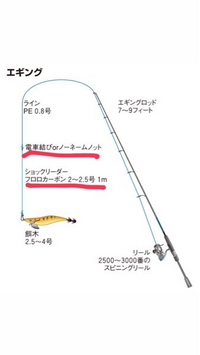 釣りを趣味にしている方に質問です 画像のイカ釣りの仕掛けです Yahoo 知恵袋