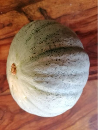 かぼちゃ収穫したら 皮の表面に黒っぽい斑点のようなものが出来ているもの Yahoo 知恵袋