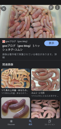 ユムシって食べれるって本当ですか 食べれる自信ありますか ユムシ食える Yahoo 知恵袋