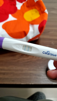 至急アドバイス頂きたいです 妊活中です 基礎体温つけたり排卵 Yahoo 知恵袋