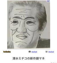 清水ミチコさんの顔マネがめちゃくちゃ好きですが この人が誰か分かりませ Yahoo 知恵袋