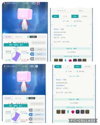 これって改造ですか 個体値が全く同じです 親名は違います Yahoo 知恵袋