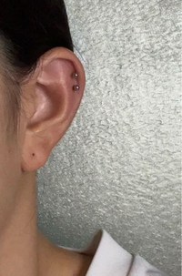 至急軟骨2連にしたんですけど 間隔狭すぎますか 昨日下の方を Yahoo 知恵袋