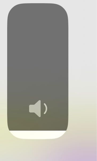 iPhoneの音量がゼロになりません。
物理的な音量ボタンも画像のボタンをスライドさせても下がりきりません。
設定の横向きのバーは1番左まで行くのですが、実際の音量と画像のバーは下がりません。 上げることはできます。
下がらないので、YouTubeなどを流すと小さい音量ですが、流れてしまいます。
機種はiPhone 12Pro Maxです。
よろしくお願いします。