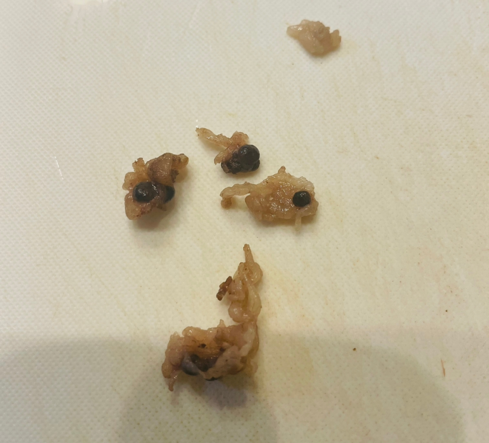 牛肉について質問します 牛肉を料理していたら写真のような血の塊が大量に Yahoo 知恵袋