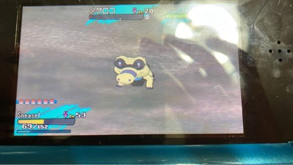 至急ですポケモンサンムーンで夢特性ガバイド狙ってたら色違いメグロコが出 Yahoo 知恵袋