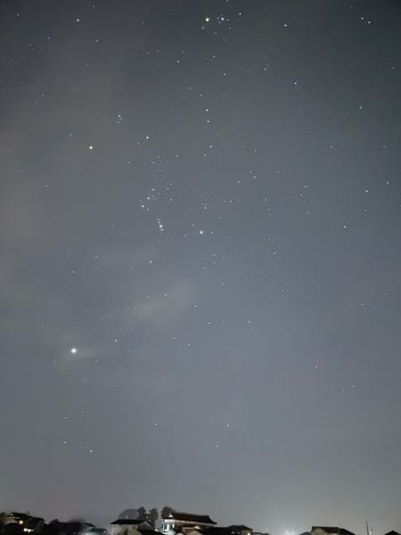 オリオン座の左下にあるめちゃ明るい星教えてください、11時半の南東くらいです