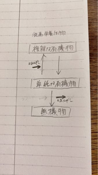至急回答お願いします 高校の生物基礎の問題です このような図があったの Yahoo 知恵袋