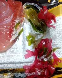 お刺身に付いていた透明の海藻は何という海藻なのかご存知の方はおられますか Yahoo 知恵袋